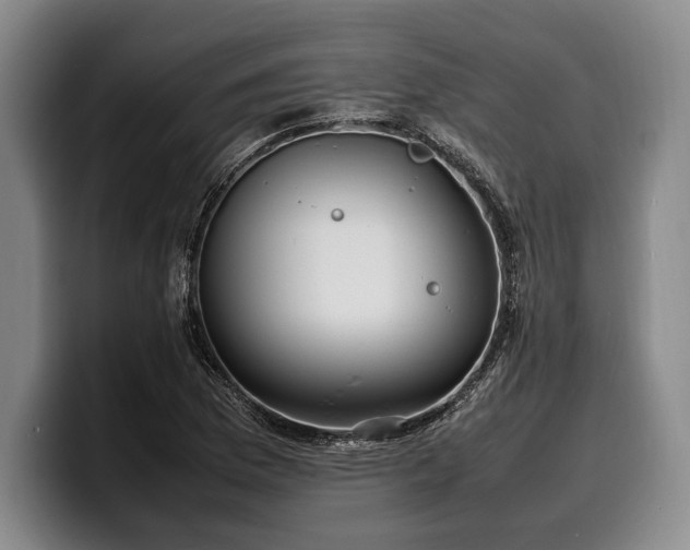 X0000100311169200806051449