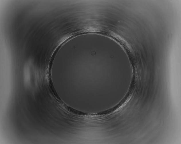 X0000100311170200806051449