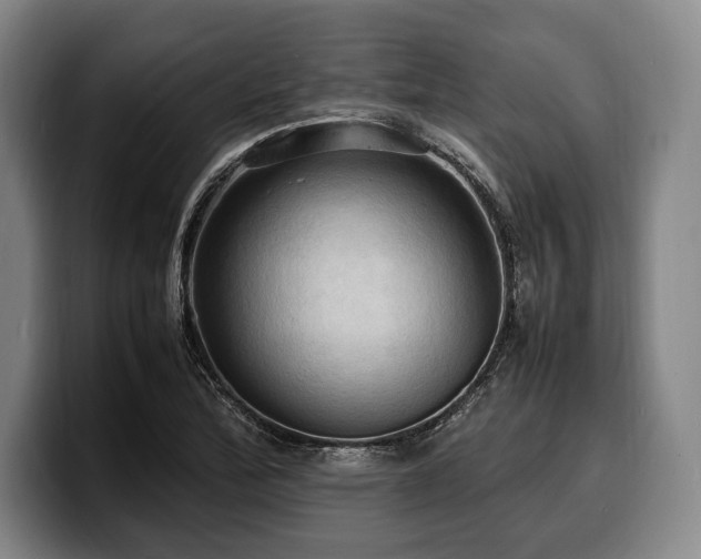 X0000100311172200806051449
