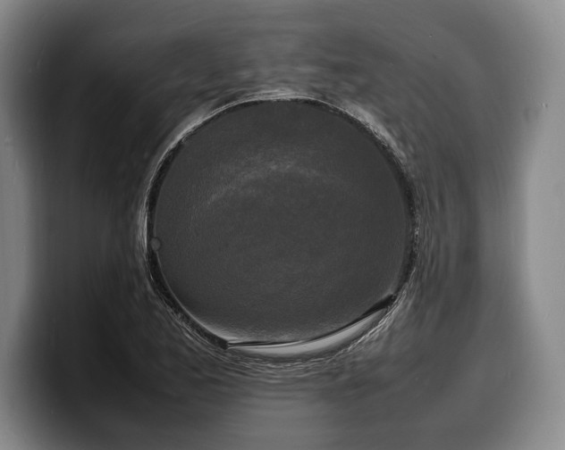 X0000100311173200806051449