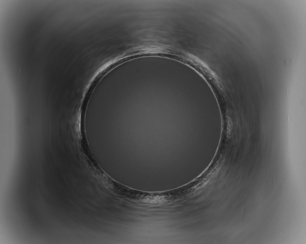X0000100311174200806051449