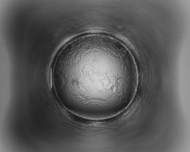 X0000100311175200806051449