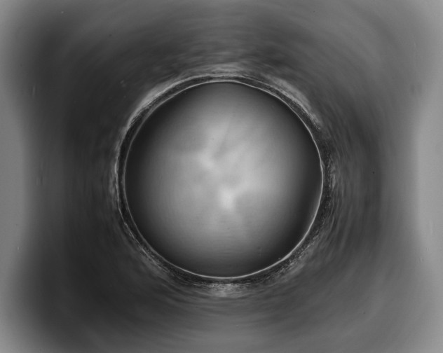 X0000100311176200806051449