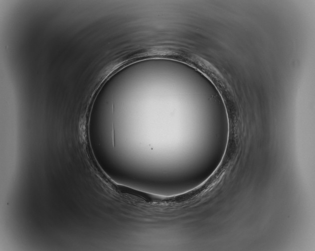 X0000100311177200806051449