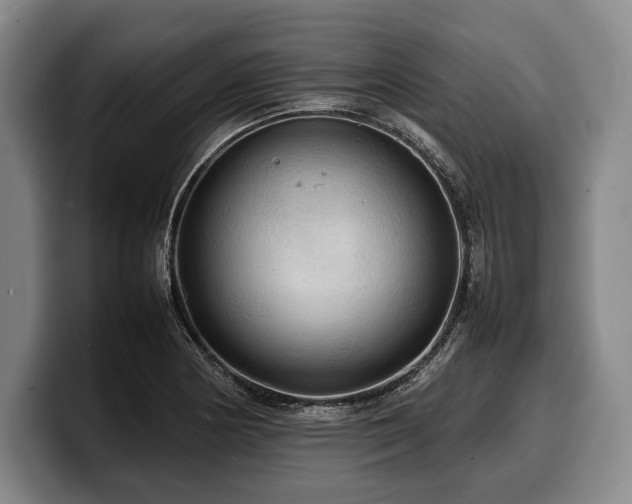 X0000100311178200806051449