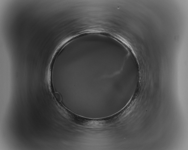 X0000100311179200806051449