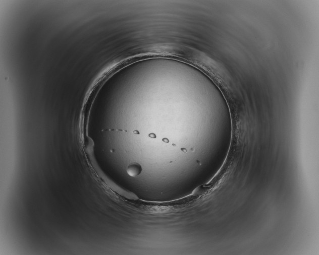 X0000100311180200806051449