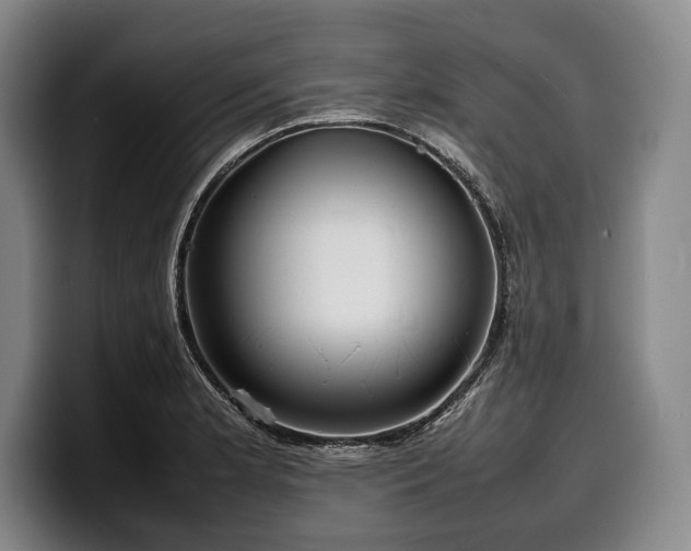X0000100311181200806051449