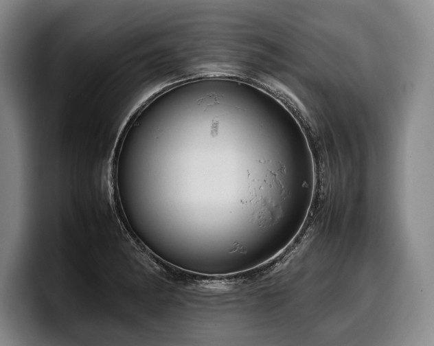 X0000100311182200806051449