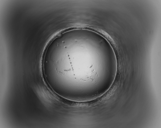 X0000100311183200806051449