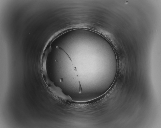 X0000100311184200806051449