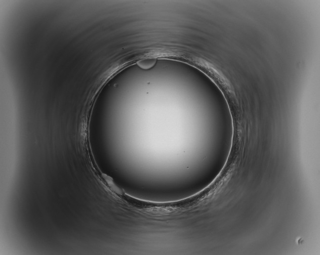 X0000100311185200806051449
