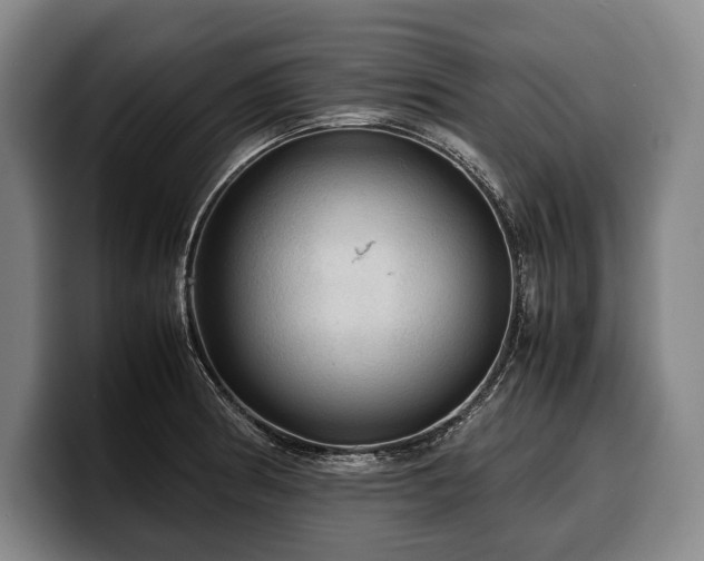 X0000100311186200806051449