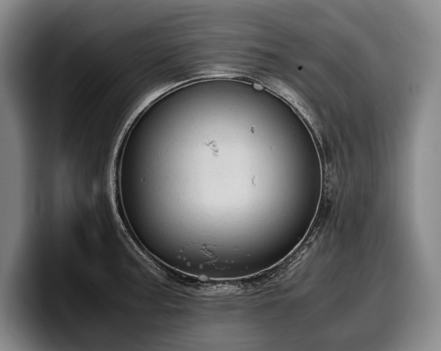 X0000100311187200806051449
