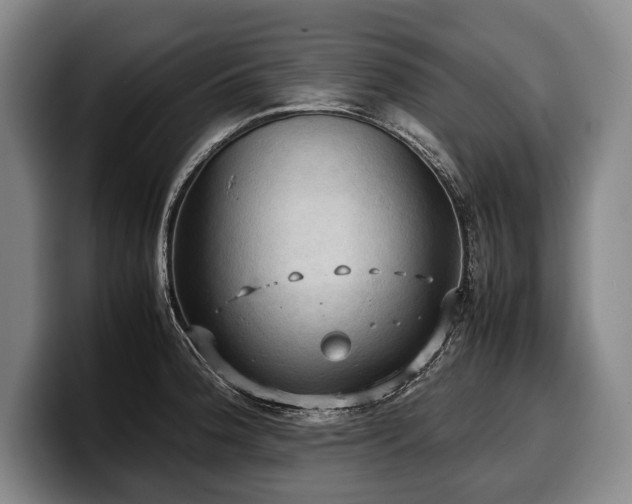 X0000100311188200806051449