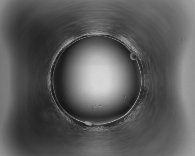 X0000100311189200806051449
