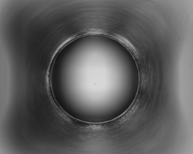 X0000100311190200806051449