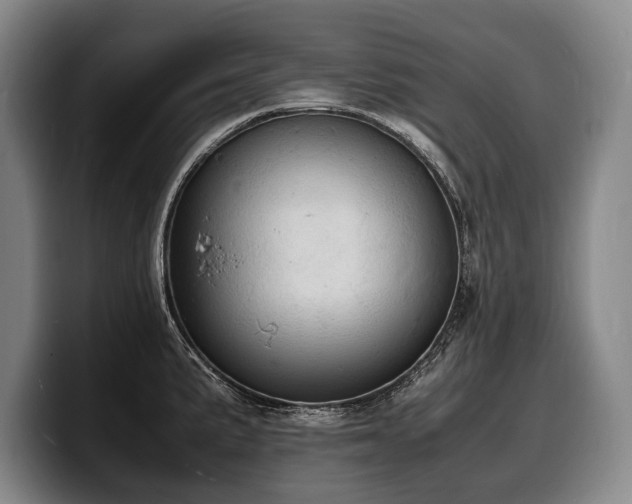 X0000100311191200806051449