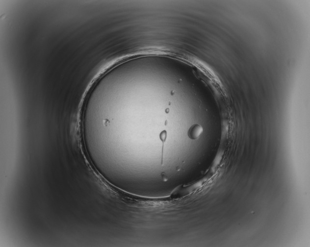 X0000100311192200806051449