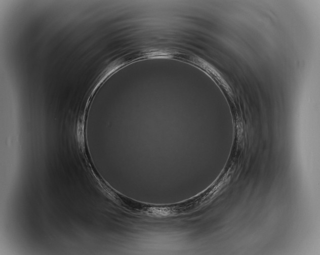 X0000100311194200806051449