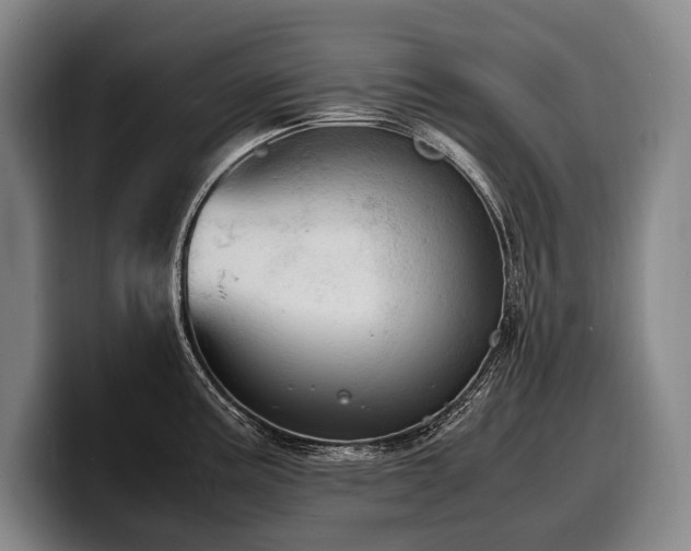 X0000100311195200806051449