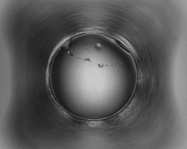 X0000100311196200806051449