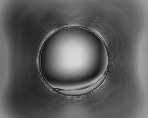 X0000100311197200806051449