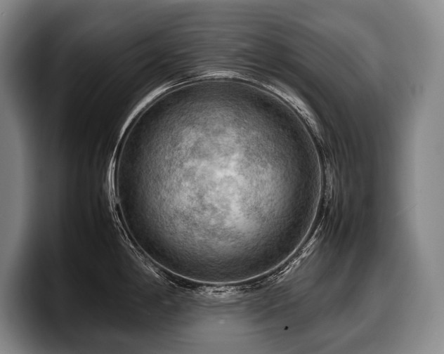 X0000100311198200806051449