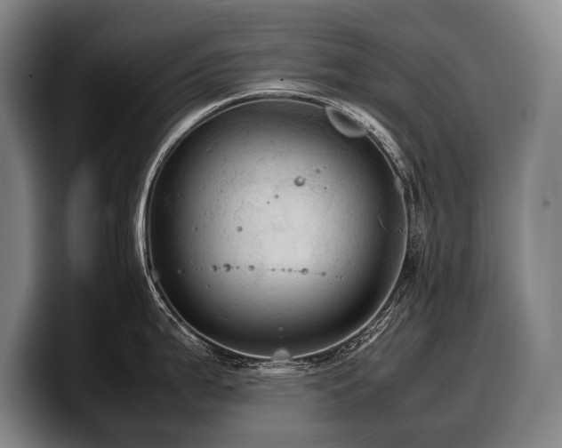 X0000100311199200806051449