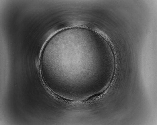 X0000100311200200806051449