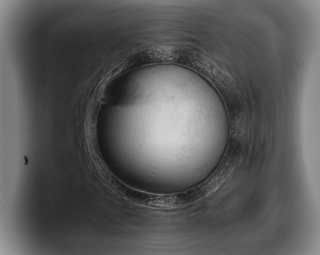 X0000100311201200806051448