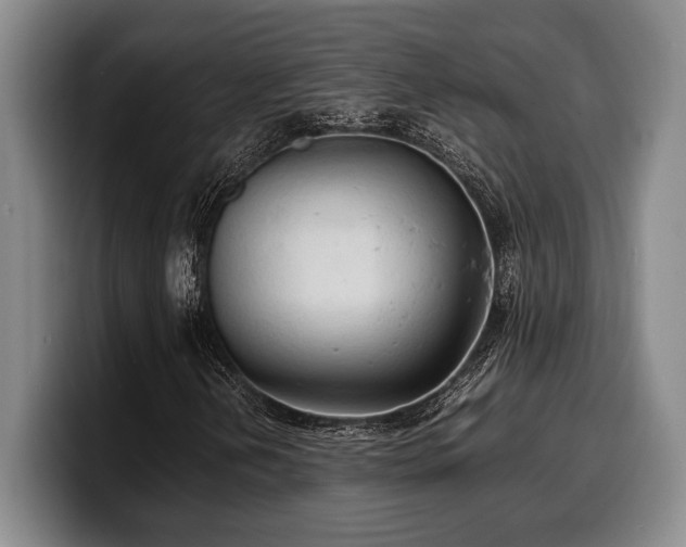 X0000100311202200806051448
