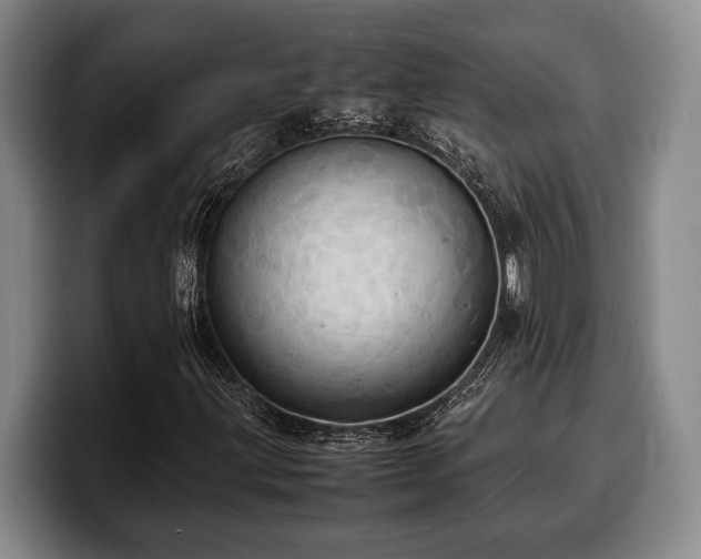 X0000100311203200806051448