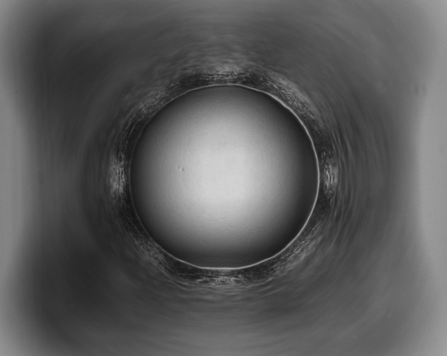 X0000100311204200806051448