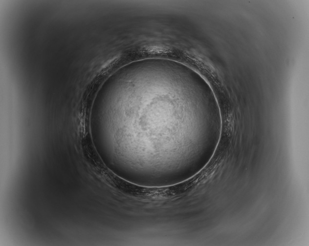 X0000100311205200806051448