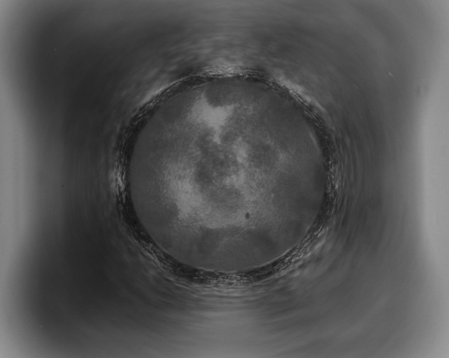 X0000100311206200806051448