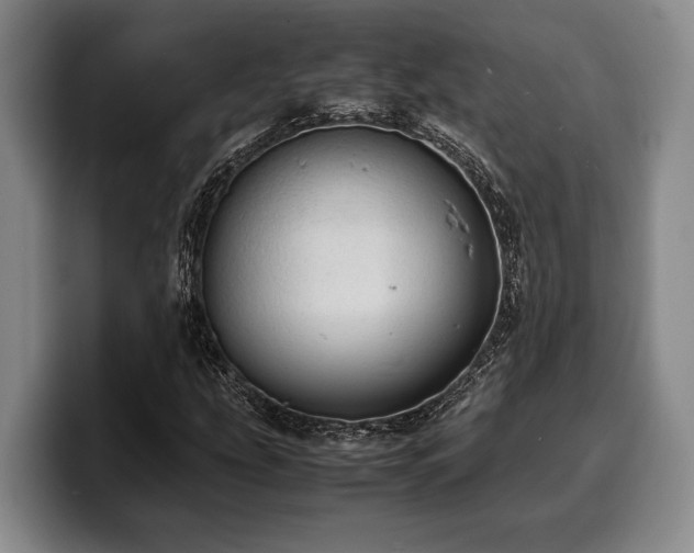 X0000100311207200806051448