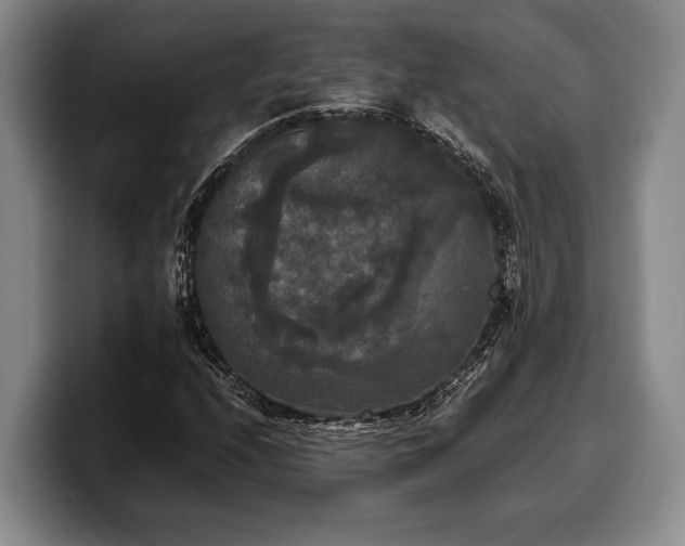 X0000100311208200806051449