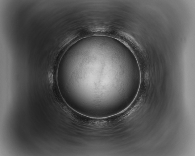 X0000100311209200806051449