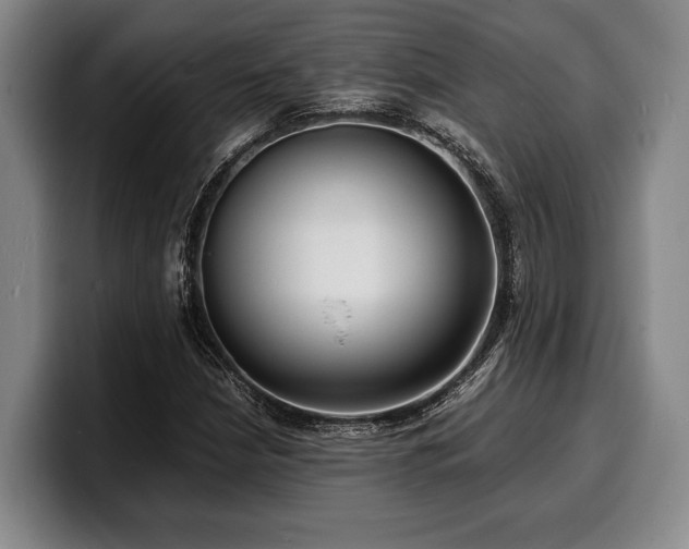 X0000100311210200806051449