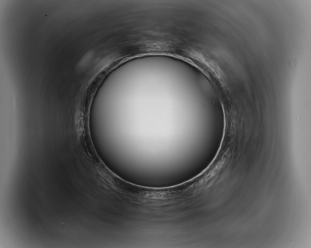 X0000100311211200806051449