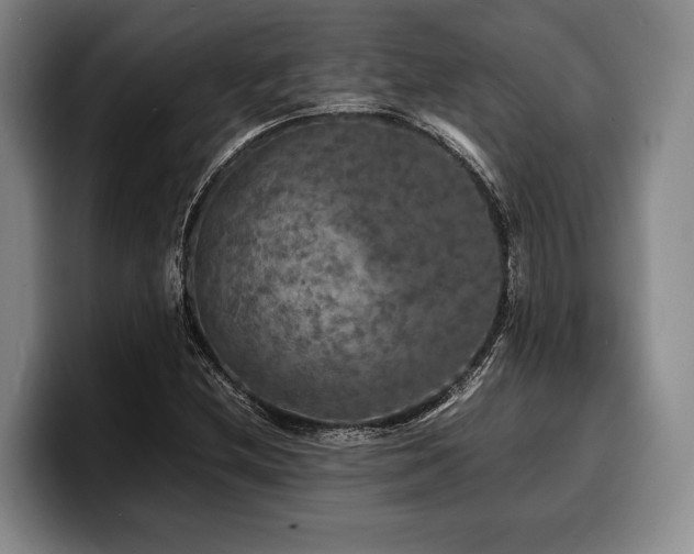 X0000100311212200806051449
