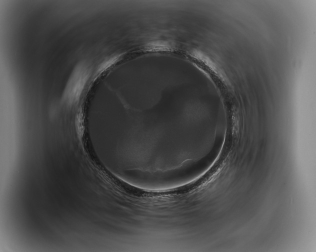 X0000100311213200806051449