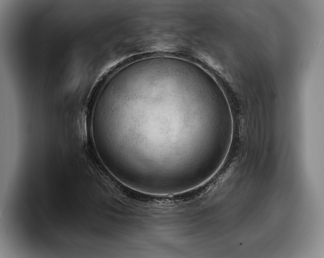 X0000100311214200806051449