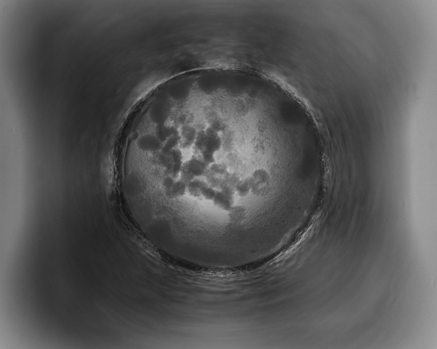 X0000100311215200806051449