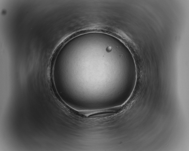 X0000100311216200806051449