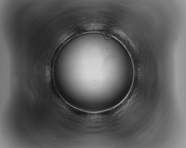 X0000100311217200806051449
