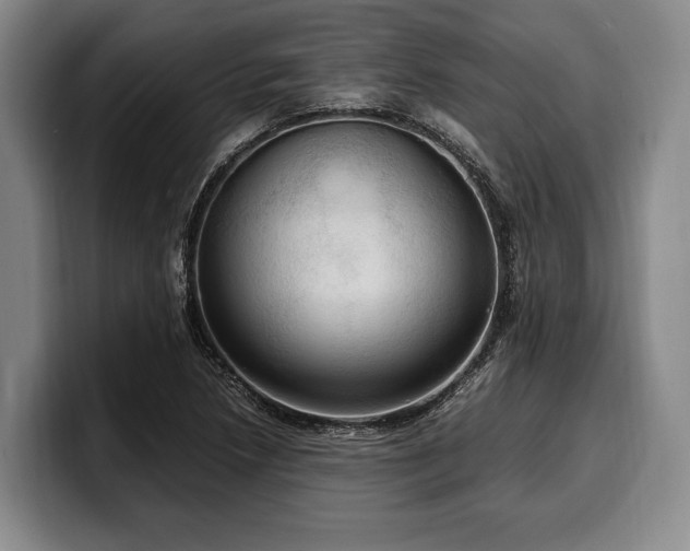 X0000100311218200806051449