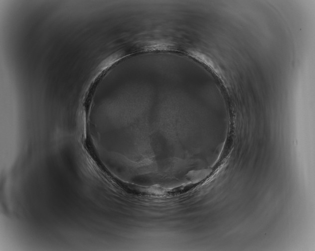 X0000100311219200806051449