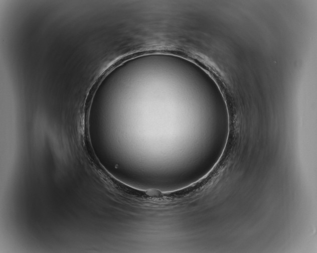 X0000100311220200806051449